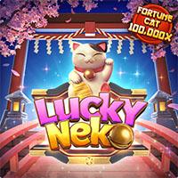 neko ADM4D